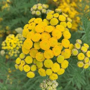 Meet your Posher, Margaret